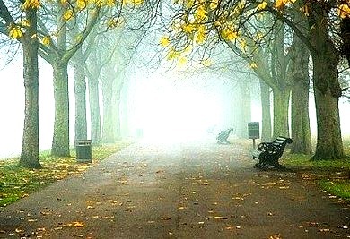 Foggy Greewich Park, London