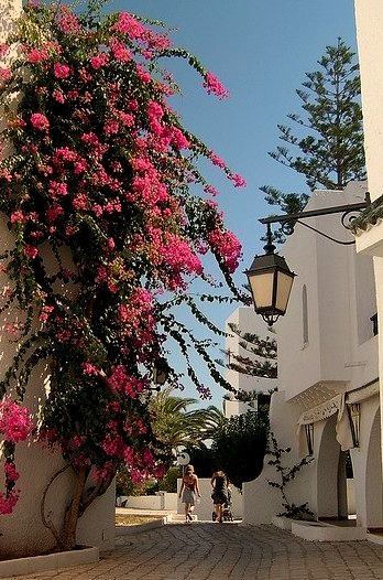 Beautiful street in El Kantaoui, Tunisia