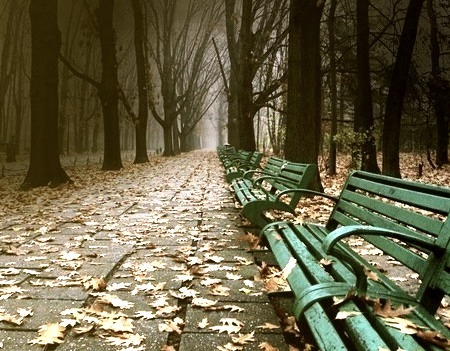 Dark Park, Bucharest, Romania