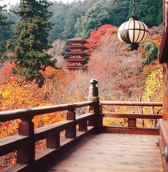 Autumn colours at Hase-Dera Temple in Nara, Japan