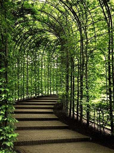Passage in the garden at Alnwick Castle, Northumberland, England