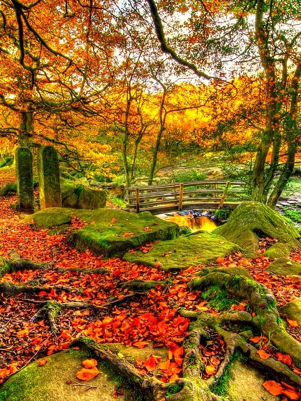 Autumn Bridge, Derbyshire, England