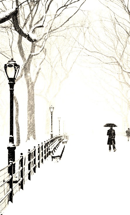 Snowy Day, Central Park, New York City