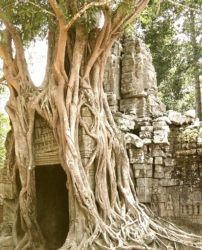 Ta Som Temple at Angkor Wat complex, Cambodia