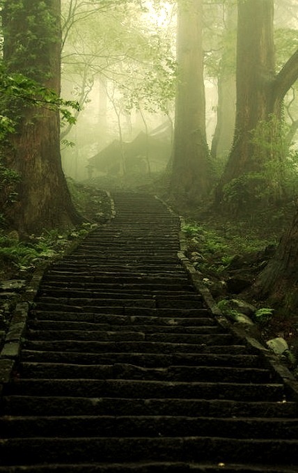 Misty path to Dewa Sanzan temples, Japan