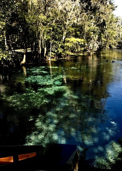 Ginnie Springs in Florida / USA